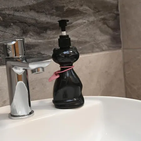 Apartment Novel S&s Veliko Gradište